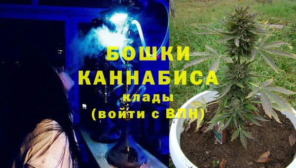 гашик Туринск