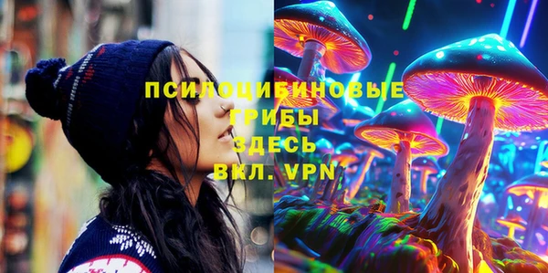 спайс Горняк