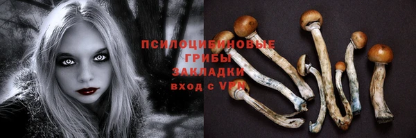 спайс Горняк