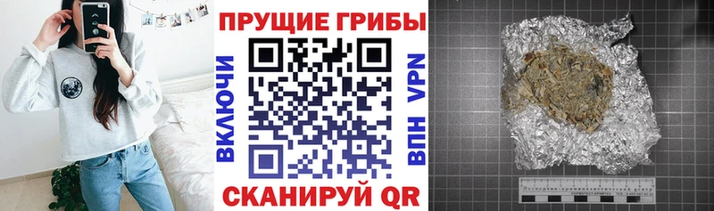 Галлюциногенные грибы Cubensis  Дигора 