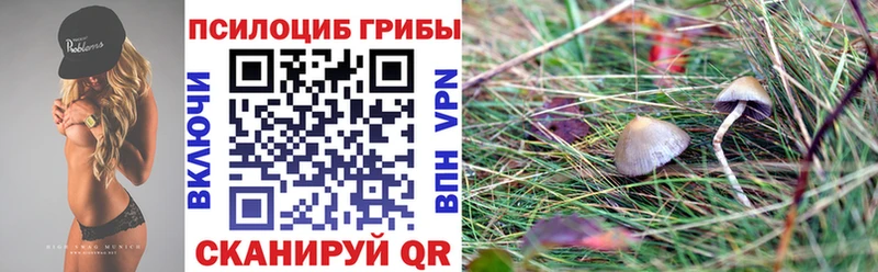 Галлюциногенные грибы MAGIC MUSHROOMS Дигора