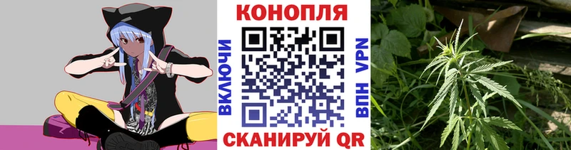 Конопля планчик  закладка  Дигора 